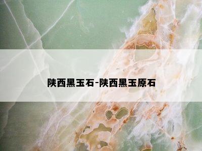 陕西黑玉石-陕西黑玉原石