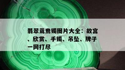 翡翠鸳鸯镯图片大全：故宫、欣赏、手镯、吊坠、牌子一网打尽