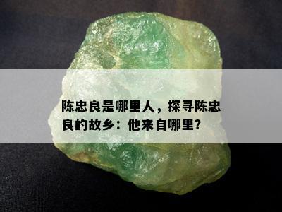 陈忠良是哪里人，探寻陈忠良的故乡：他来自哪里？