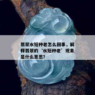 翡翠水短种老怎么回事，解释翡翠的‘水短种老’现象是什么意思？