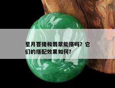 星月菩提和翡翠能搭吗？它们的搭配效果如何？