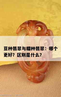 豆种翡翠与糯种翡翠：哪个更好？区别是什么？