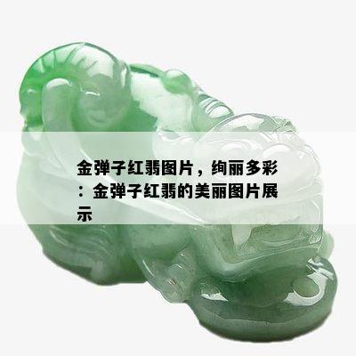 金弹子红翡图片，绚丽多彩：金弹子红翡的美丽图片展示