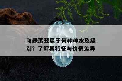 阳绿翡翠属于何种种水及级别？了解其特征与价值差异