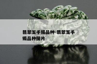 翡翠玉手镯品种-翡翠玉手镯品种图片