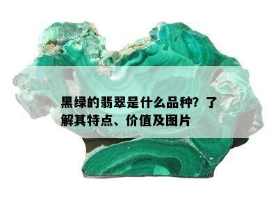 黑绿的翡翠是什么品种？了解其特点、价值及图片