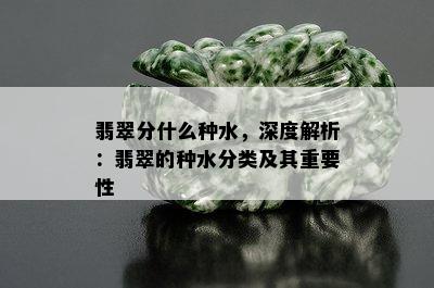 翡翠分什么种水，深度解析：翡翠的种水分类及其重要性