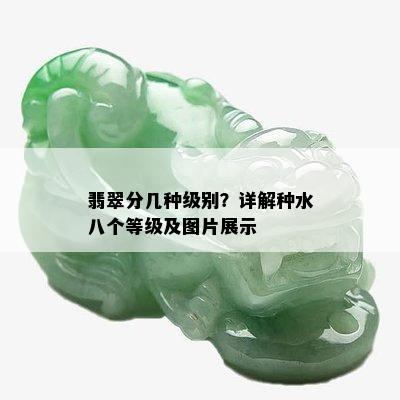 翡翠分几种级别？详解种水八个等级及图片展示