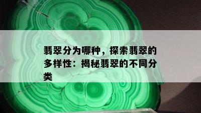 翡翠分为哪种，探索翡翠的多样性：揭秘翡翠的不同分类