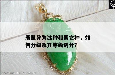 翡翠分为冰种和其它种，如何分级及其等级划分?