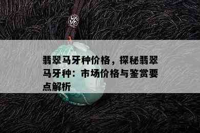 翡翠马牙种价格，探秘翡翠马牙种：市场价格与鉴赏要点解析