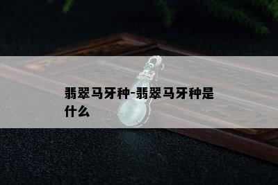 翡翠马牙种-翡翠马牙种是什么