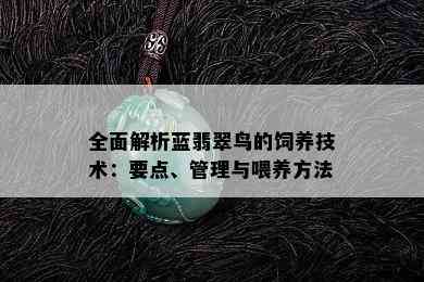 全面解析蓝翡翠鸟的饲养技术：要点、管理与喂养方法