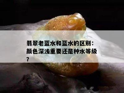 翡翠老蓝水和蓝水的区别：颜色深浅重要还是种水等级？