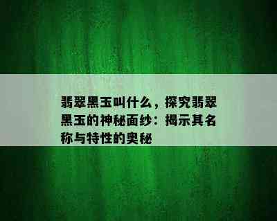 翡翠黑玉叫什么，探究翡翠黑玉的神秘面纱：揭示其名称与特性的奥秘