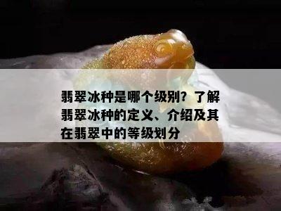 翡翠冰种是哪个级别？了解翡翠冰种的定义、介绍及其在翡翠中的等级划分