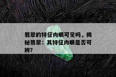 翡翠的特征肉眼可见吗，揭秘翡翠：其特征肉眼是否可辨？