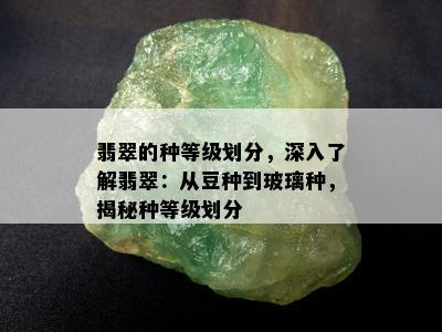 翡翠的种等级划分，深入了解翡翠：从豆种到玻璃种，揭秘种等级划分