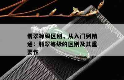 翡翠等级区别，从入门到精通：翡翠等级的区别及其重要性