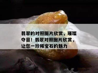 翡翠的对照图片欣赏，璀璨夺目！翡翠对照图片欣赏，让您一珍稀宝石的魅力