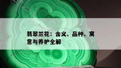 翡翠兰花：含义、品种、寓意与养护全解