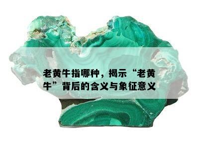 老黄牛指哪种，揭示“老黄牛”背后的含义与象征意义