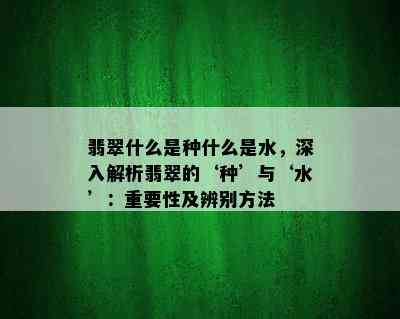 翡翠什么是种什么是水，深入解析翡翠的‘种’与‘水’：重要性及辨别方法