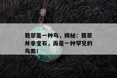 翡翠是一种鸟，揭秘：翡翠并非宝石，而是一种罕见的鸟类！