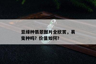 豆绿种翡翠图片全欣赏，易变种吗？价值如何？