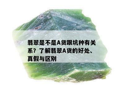 翡翠是不是A货跟坑种有关系？了解翡翠A货的好处、真假与区别