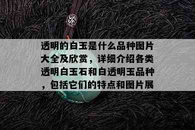 透明的白玉是什么品种图片大全及欣赏，详细介绍各类透明白玉石和白透明玉品种，包括它们的特点和图片展示。