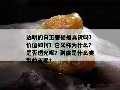 透明的白玉菩提是真货吗？价值如何？它又称为什么？是否透光呢？到底是什么类型的玉呢？