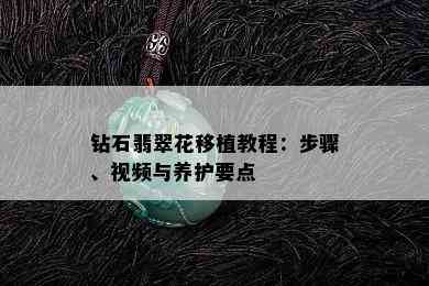 钻石翡翠花移植教程：步骤、视频与养护要点