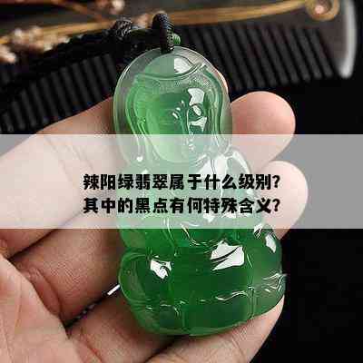 辣阳绿翡翠属于什么级别？其中的黑点有何特殊含义？