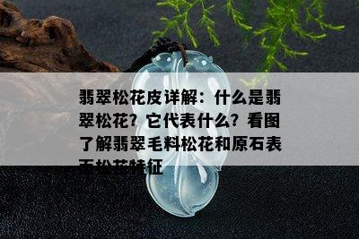 翡翠松花皮详解：什么是翡翠松花？它代表什么？看图了解翡翠毛料松花和原石表面松花特征