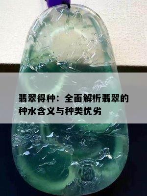 翡翠得种：全面解析翡翠的种水含义与种类优劣