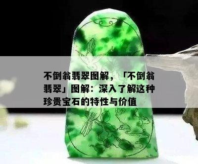 不倒翁翡翠图解，「不倒翁翡翠」图解：深入了解这种珍贵宝石的特性与价值