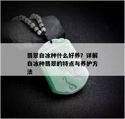 翡翠白冰种什么好养？详解白冰种翡翠的特点与养护方法