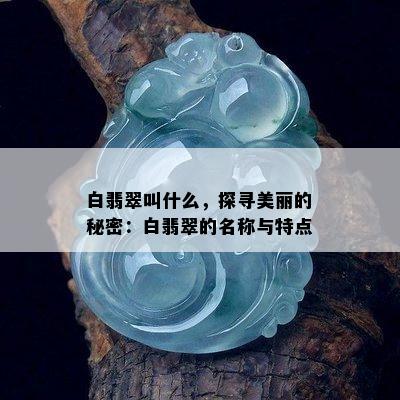 白翡翠叫什么，探寻美丽的秘密：白翡翠的名称与特点