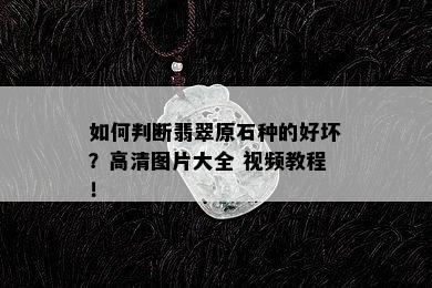 如何判断翡翠原石种的好坏？高清图片大全 视频教程！