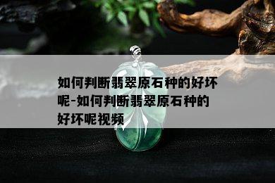 如何判断翡翠原石种的好坏呢-如何判断翡翠原石种的好坏呢视频