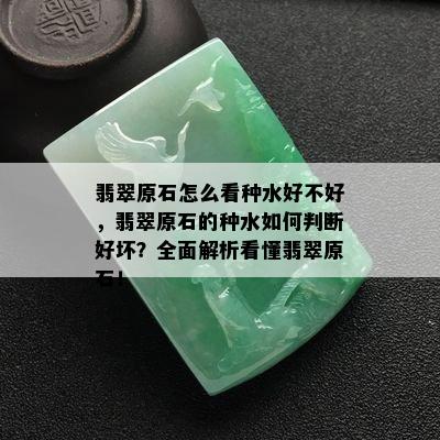 翡翠原石怎么看种水好不好，翡翠原石的种水如何判断好坏？全面解析看懂翡翠原石！