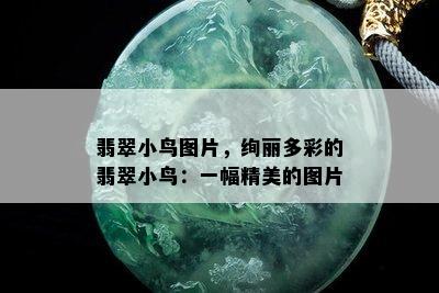 翡翠小鸟图片，绚丽多彩的翡翠小鸟：一幅精美的图片