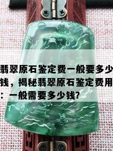 翡翠原石鉴定费一般要多少钱，揭秘翡翠原石鉴定费用：一般需要多少钱？