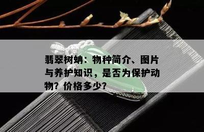 翡翠树蚺：物种简介、图片与养护知识，是否为保护动物？价格多少？