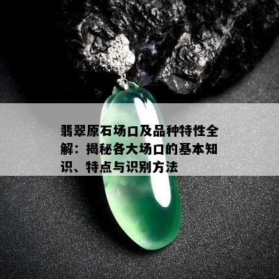 翡翠原石场口及品种特性全解：揭秘各大场口的基本知识、特点与识别方法