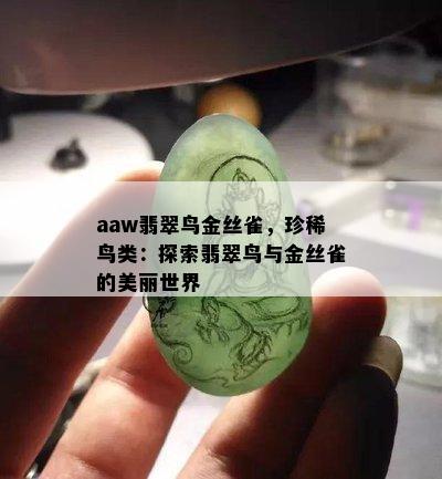 aaw翡翠鸟金丝雀，珍稀鸟类：探索翡翠鸟与金丝雀的美丽世界