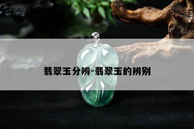 翡翠玉分辨-翡翠玉的辨别