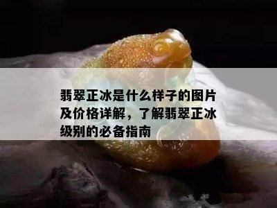 翡翠正冰是什么样子的图片及价格详解，了解翡翠正冰级别的必备指南