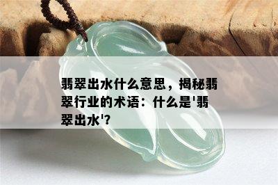 翡翠出水什么意思，揭秘翡翠行业的术语：什么是'翡翠出水'？